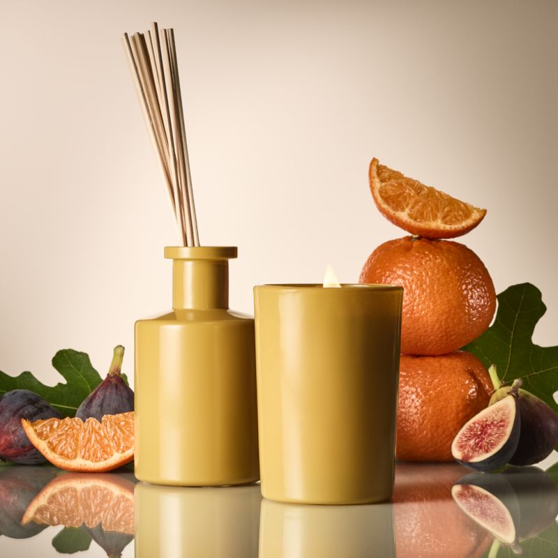 CB2 Black Fig + Citrus Scented Glass Candle 7oz - image 1 of 4