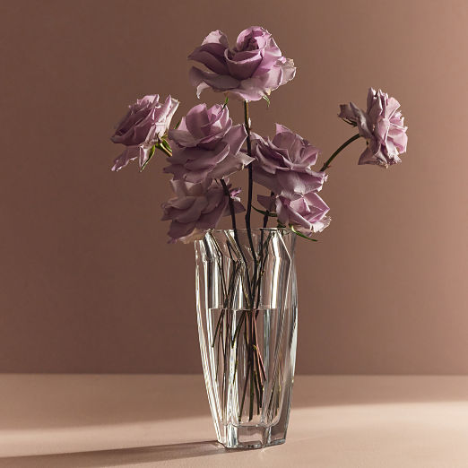 Aela Clear Glass Vase
