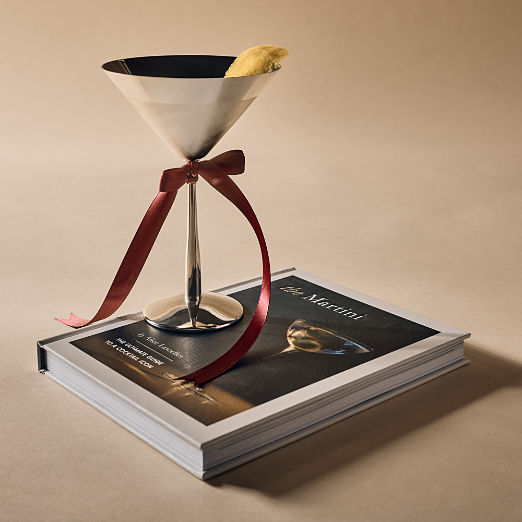 The Martini Master Gift Set