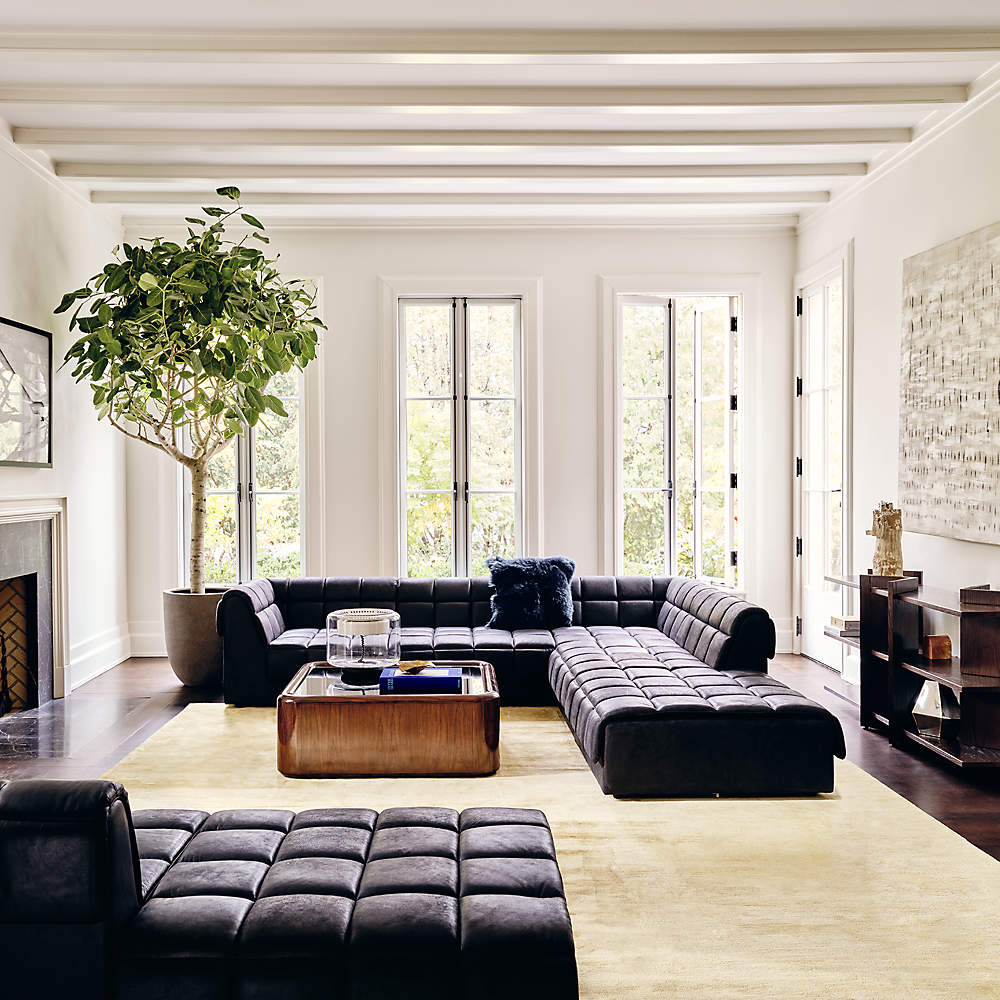 Cb2 store sectional leather
