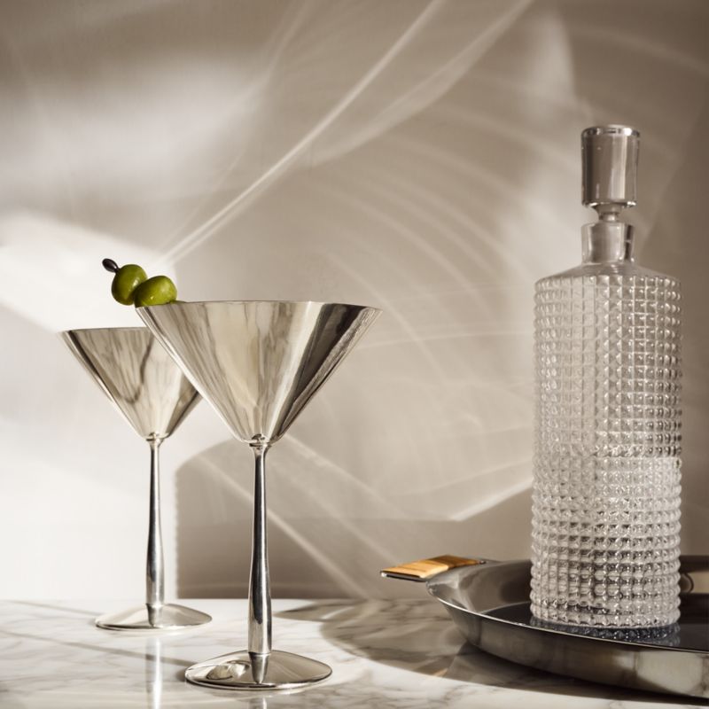 Emporia Stainless Steel Martini Glasses Set of 4 - image 1 of 5