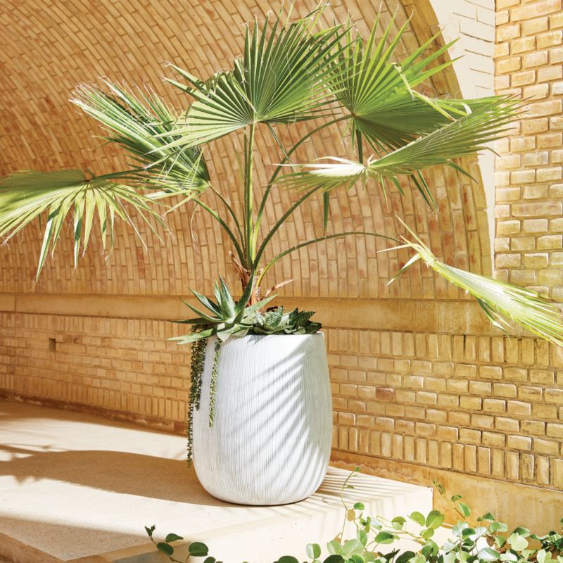 Pod Grey Cement Indoor/Outdoor Planter Medium - image 6 of 12