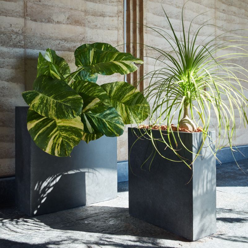 Ash Square Dark Grey Cement Indoor/Outdoor Planter Tall - image 7 of 9