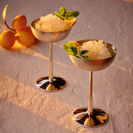 Emporia Stainless Steel Coupe Glass