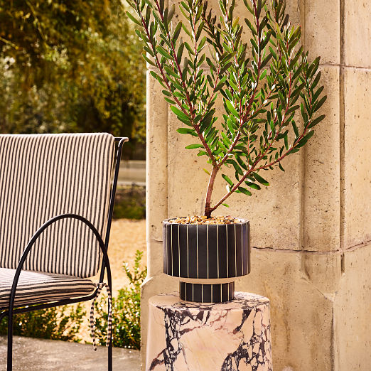 Komo Striped Ceramic Indoor/Outdoor Planters
