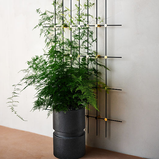 Argo Round Black Cement Indoor/Outdoor Planters