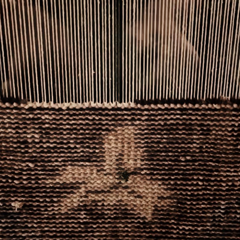 Play Lavidia Hand-Knotted Sienna Brown New Zealand Wool Area Rug 8'x10' - video 1 of 2