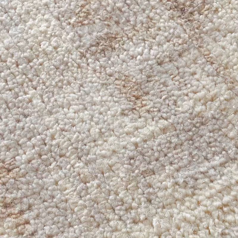 Play Frize Light Taupe and Cool Grey Wool and Viscose Area Rug 6'x9' - video 1 of 1