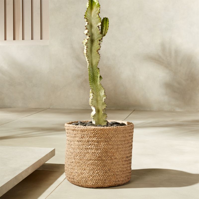 Cement Basket Indoor/Outdoor Planter Large - image 1 of 6