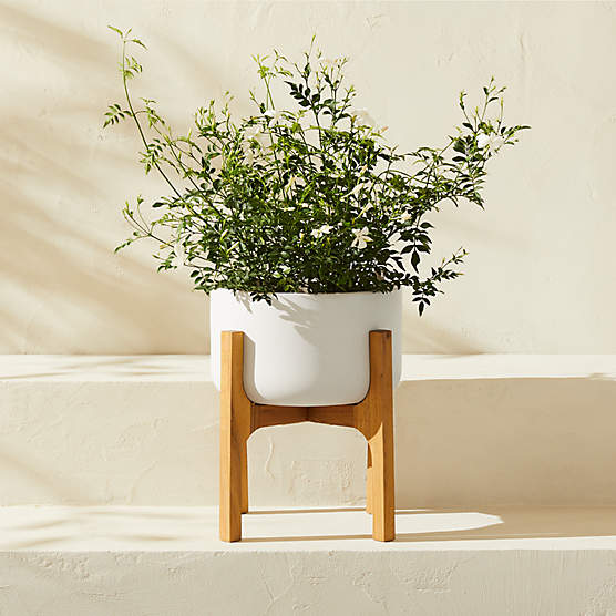 Cheva White Ceramic Indoor/Outdoor Planter with Teak Stand 13.5"x14.75"