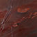 Red Marble
