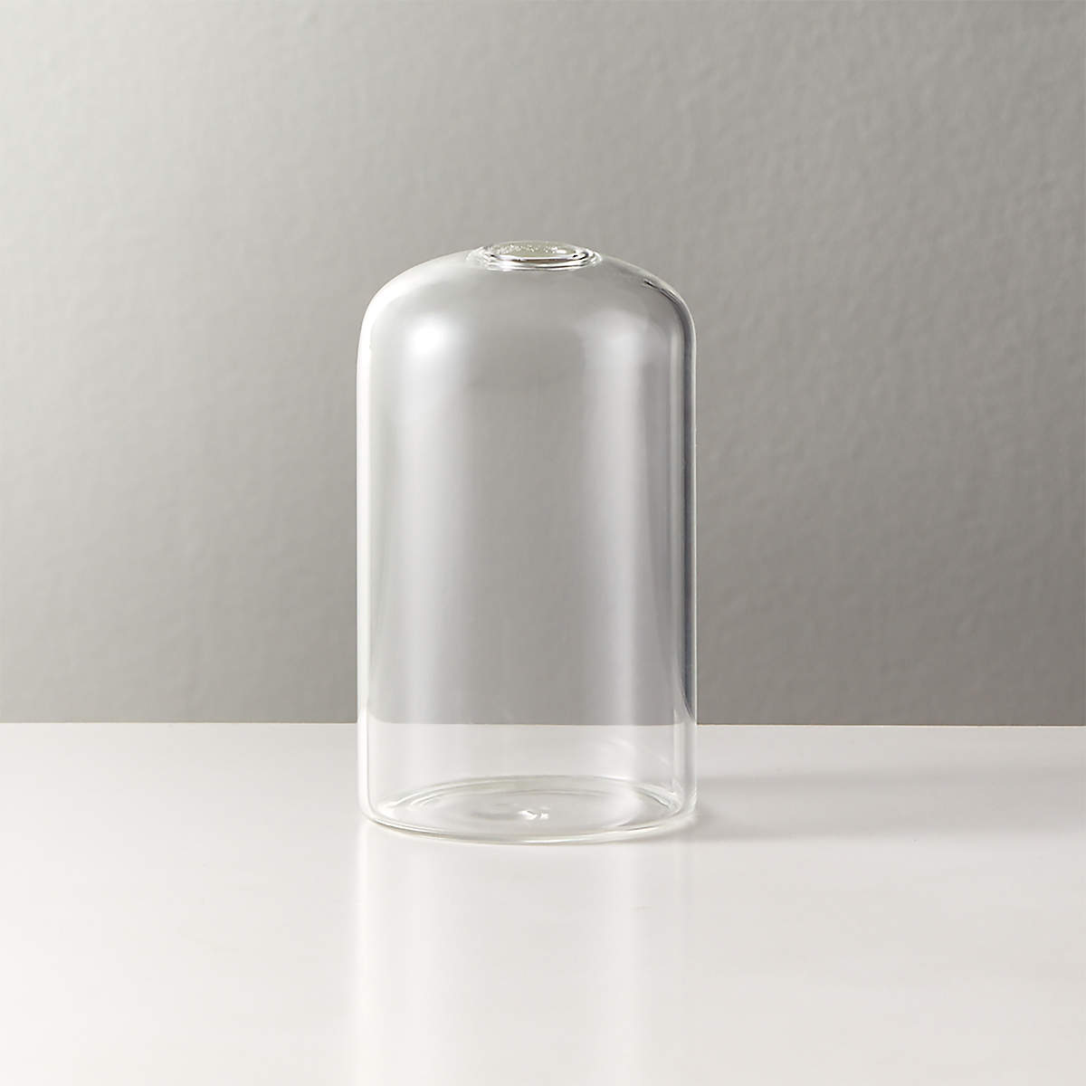 Cloche Modern Glass Bud Vase + Reviews CB2