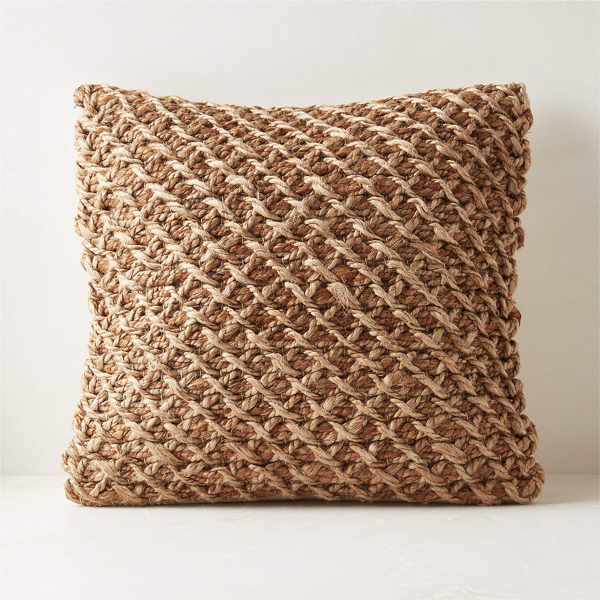 Colina Woven Jute Modern Throw Pillow with DownAlternative Insert 20