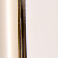 Polished Nickel