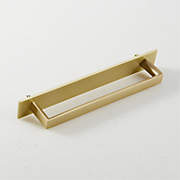 Damon Brushed Brass Handle with Back Plate 6