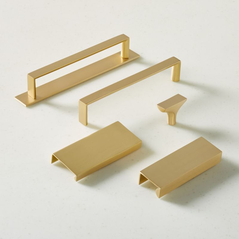 Damon Brushed Brass Handles with Back Plate