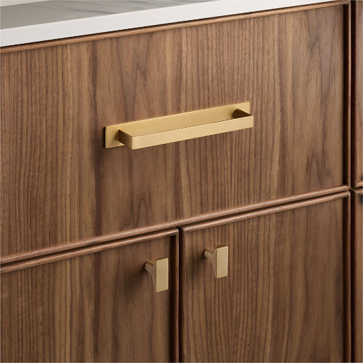 Damon Brushed Brass Cabinet Handles with Back Plate