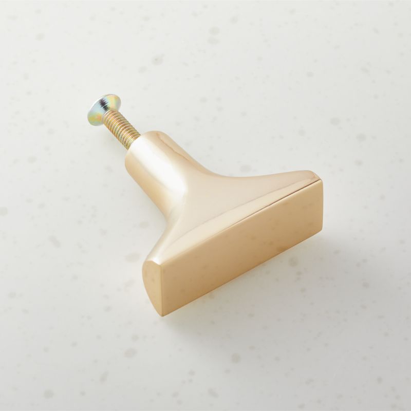 Damon Unlacquered Brass Knob - image 1 of 6