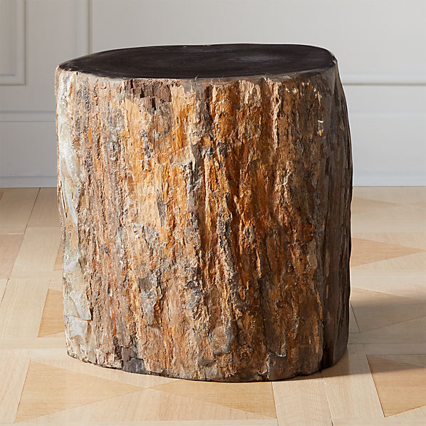 Petrified Wood Side Table Cb2