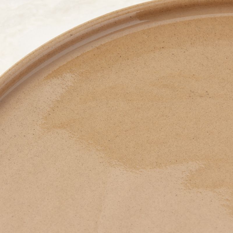 Darra Natural Recycled Stoneware Dinner Plate - image 1 of 5