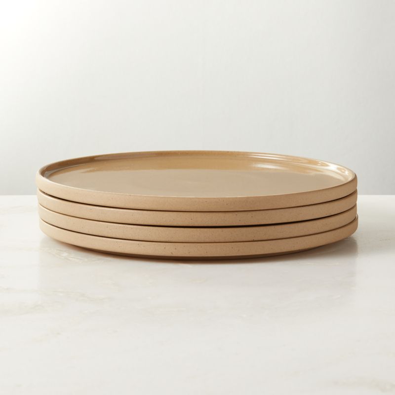 View Darra Natural Recycled Stoneware Dinner Plates Set of 4 details