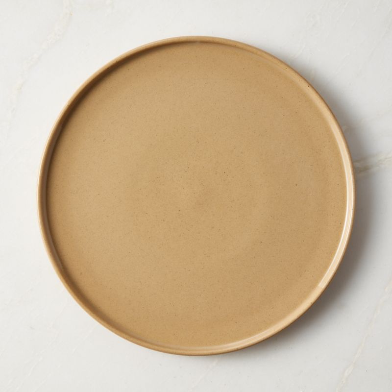 Darra Natural Recycled Stoneware Dinner Plate - image 0 of 5