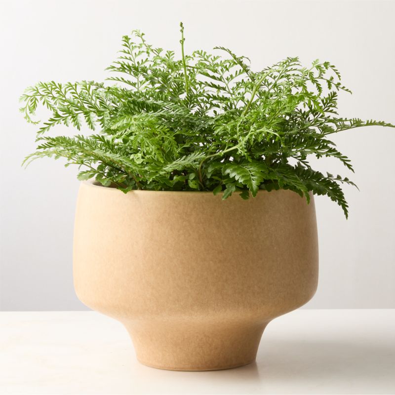 View Dinah Beige Ceramic Planter Large details