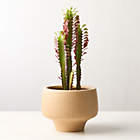 Clio Bubble Green Glass Vase