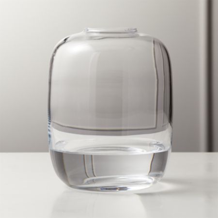 Dixon Clear Glass Vase Reviews Cb2