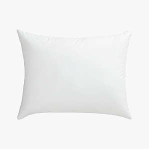 CB2 Throw Pillow & Down Alternative Insert - AptDeco