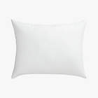 Hypoallergenic Down-Alternative Standard Pillow Insert