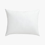Feather-Down Throw Pillow Insert 20"