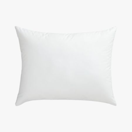 Feather Down Standard Pillow Insert Reviews Cb2