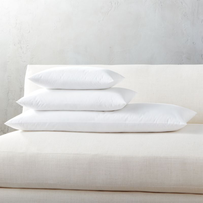 Down Alternative Rectangular Pillow Inserts CB2