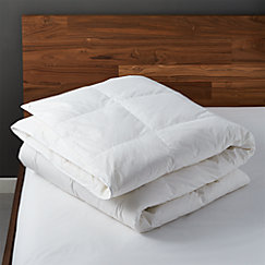 Down Duvet Inserts Cb2