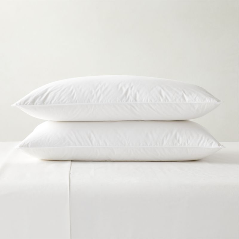 Medium Down King Pillow Inserts Set of 2 - image 0 of 2