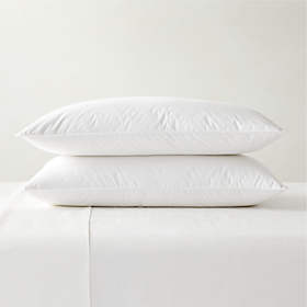 https://cb2.scene7.com/is/image/CB2/DownPllwInsrtKMdm28OzS2SHS22/$web_recently_viewed_item_sm$/211222133646/medium-down-king-pillow-inserts-set-of-2.jpg