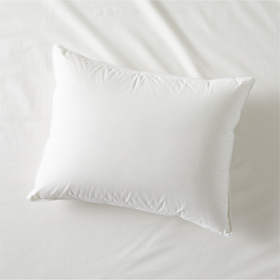 Hypoallergenic Down-Alternative Standard Pillow Inserts Set of 2 + Reviews