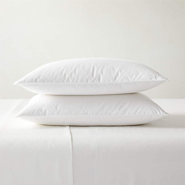 standard size pillow inserts