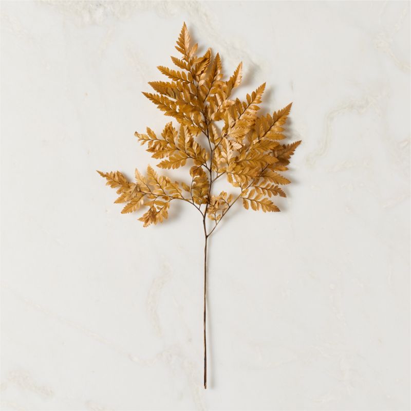 Dried Amber Fern Bunch 24" - image 3 of 4