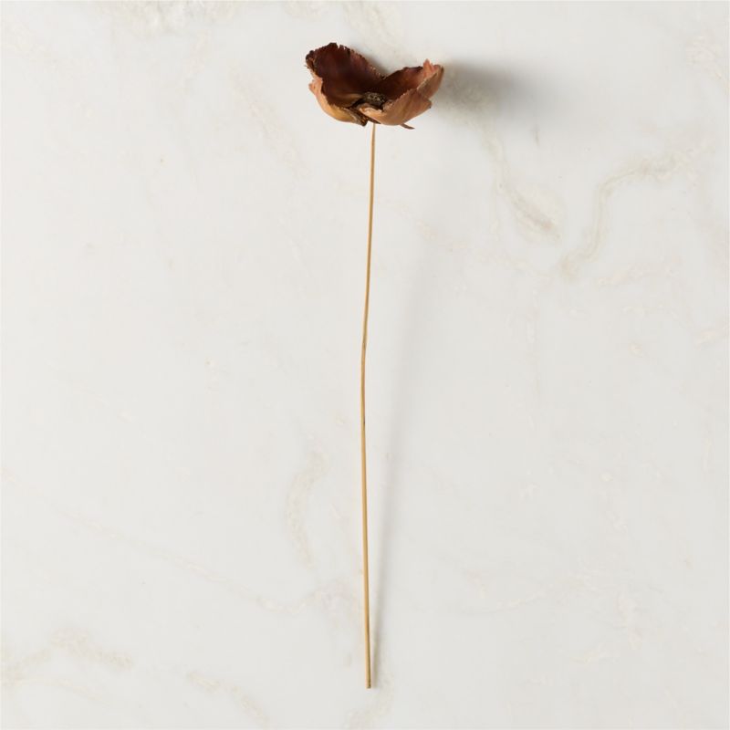 Dried Brown Palm Cap Bunch 24" - image 3 of 4