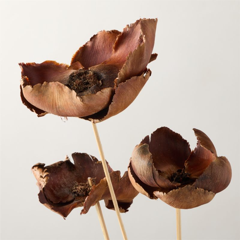 Dried Brown Palm Cap Bunch 24" - image 2 of 4
