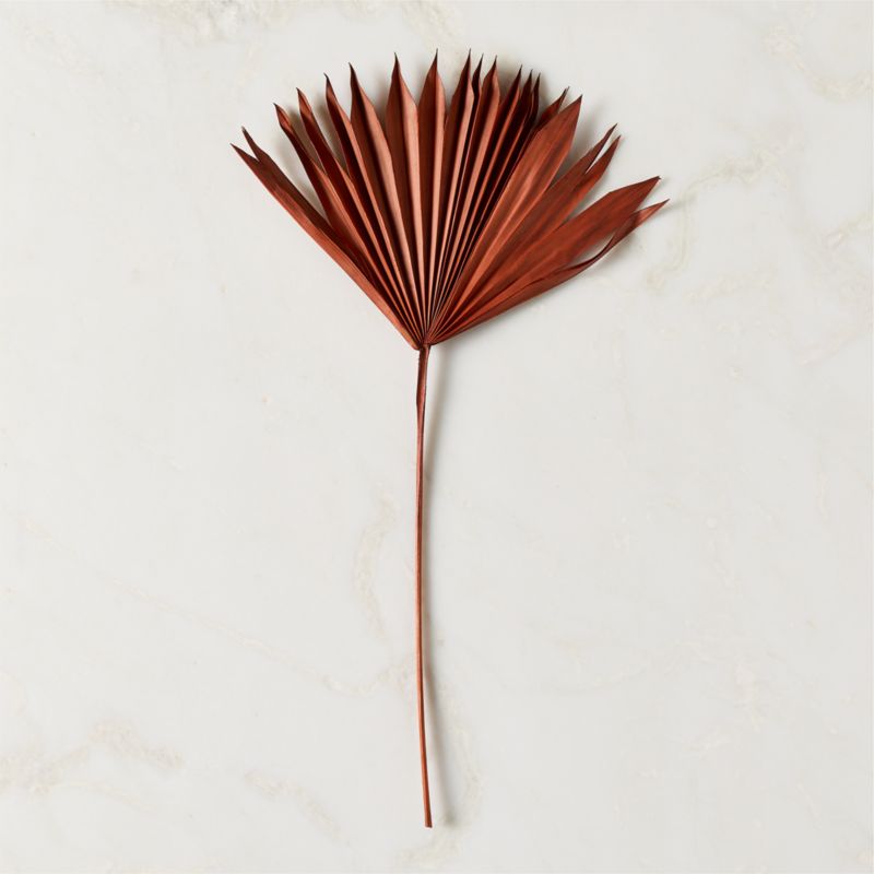 Dried Brown Sun Palm Stems 17" - image 3 of 4