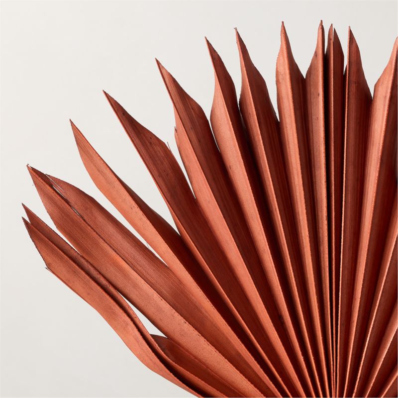 Dried Brown Sun Palm Stems 17" - image 2 of 4