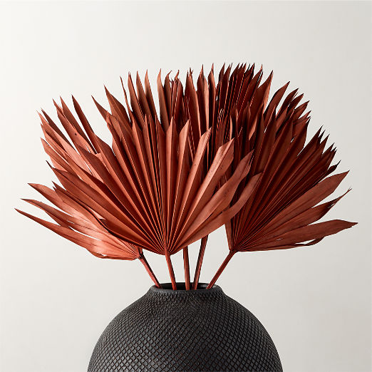 Dried Brown Sun Palm Stems 17"