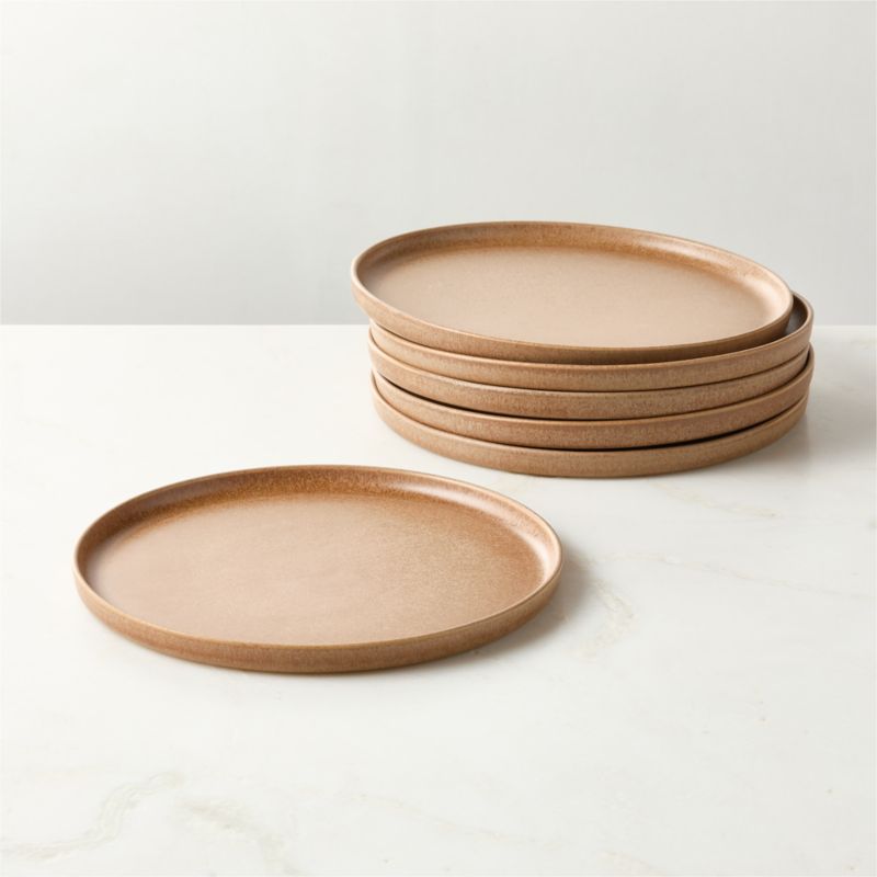 Drift Tan Dinner Plates with Reactive Glaze Set of 6 - image 0 of 5