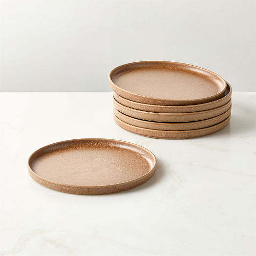 Drift Tan Salad Plates with Reactive Glaze Set of 6