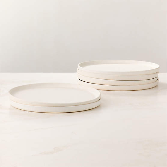 Drift White Dinner Plates with Reactive Glaze Set of 6