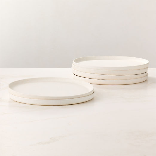 Drift Ivory Dinner Plates with Matte Reactive Glaze Set of 6