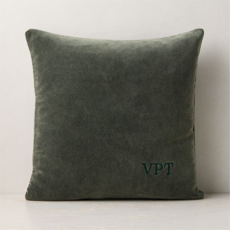 Encino Smoked Green Organic Cotton Stonewashed Velvet Throw Pillow with Feather-Down Insert 20"x20" - image 1 of 4
